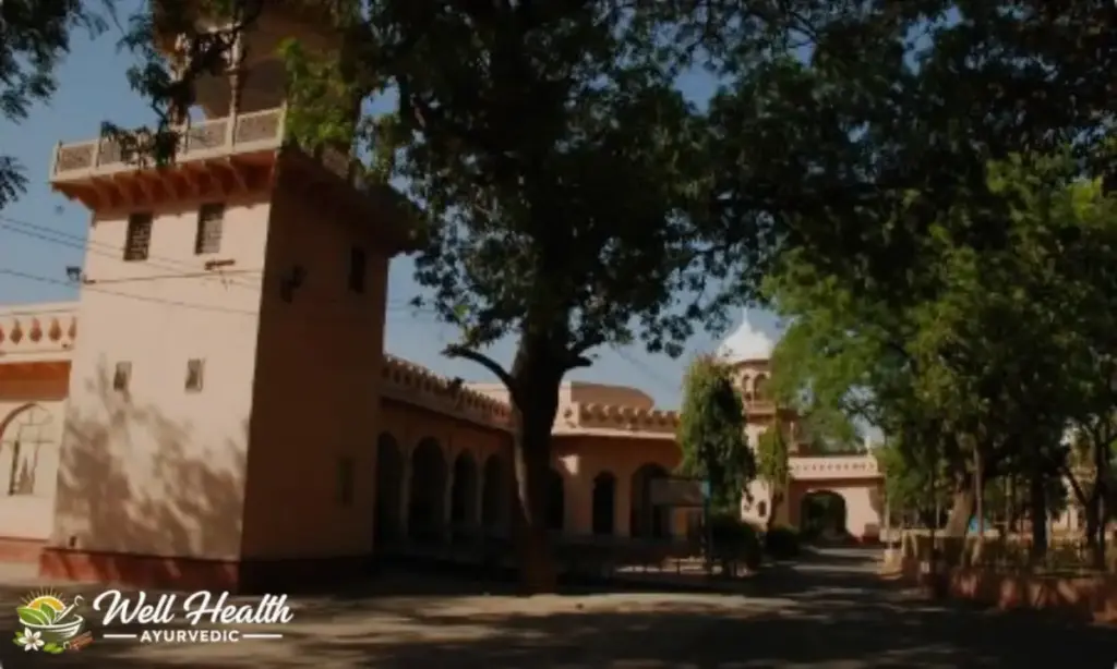 Ayurvedic and Unani Tibbia College