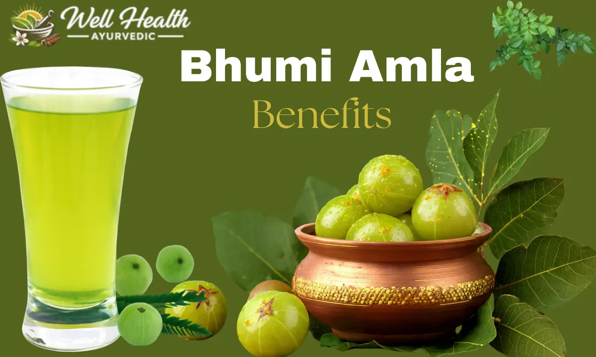 Bhumi Amla Benefits