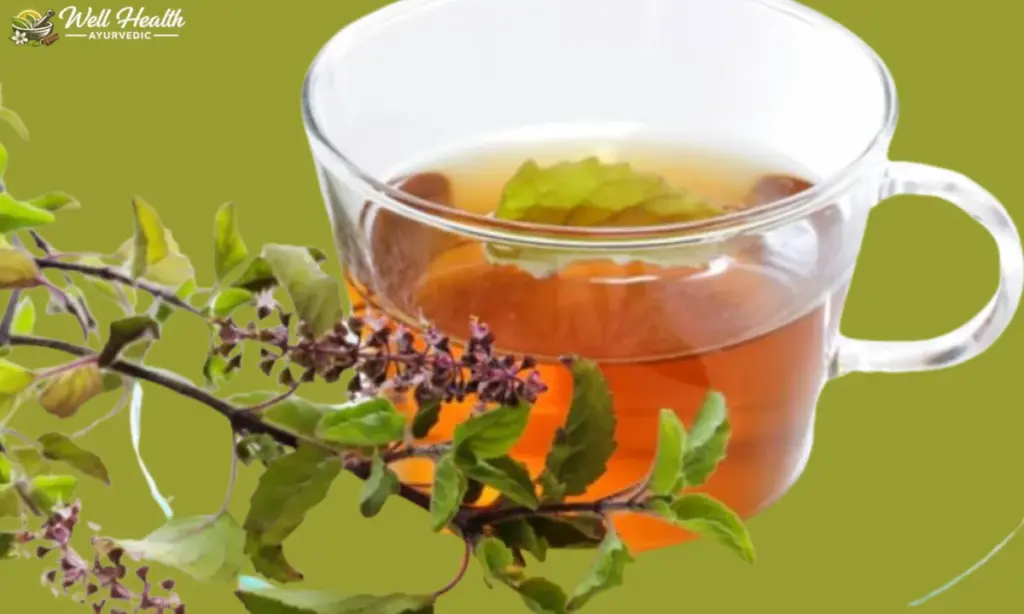 Tulsi Water